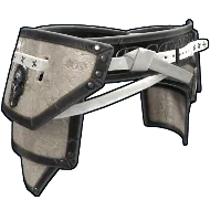 Skin's image