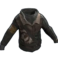 Skin's image