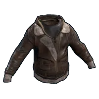 Skin's image