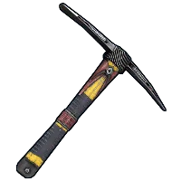 Skin's image