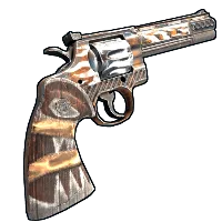 Skin's image