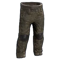 Skin's image
