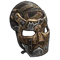 Skin's image