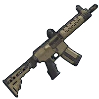 Skin's image
