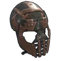 Skin's image
