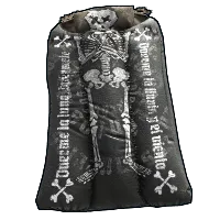 Skin's image