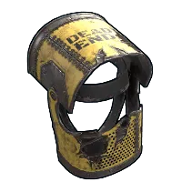 Skin's image