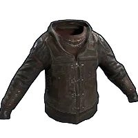 Skin's image