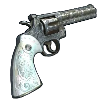 Skin's image