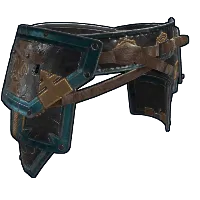 Skin's image