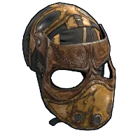 Skin's image