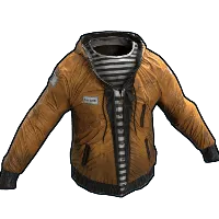 Skin's image