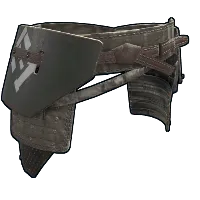 Skin's image