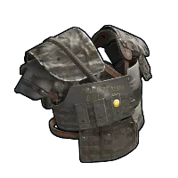 Skin's image