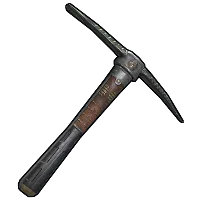 Skin's image