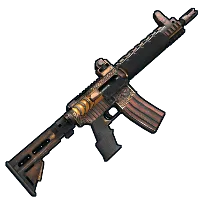 Skin's image