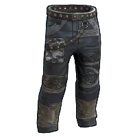 Skin's image