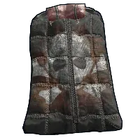 Skin's image