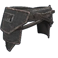 Skin's image