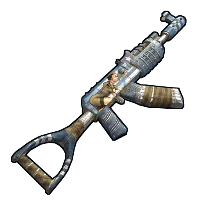 Skin's image