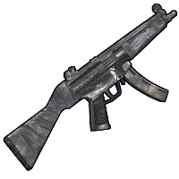 Skin's image
