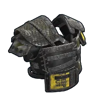 Skin's image