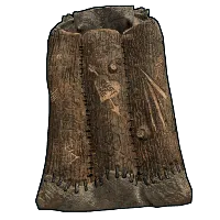 Skin's image