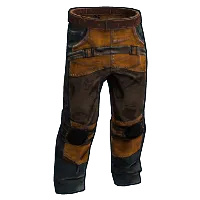 Skin's image
