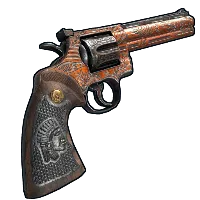 Skin's image