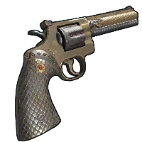 Skin's image