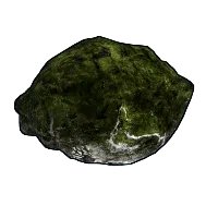 Skin's image