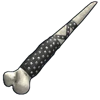 Skin's image