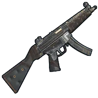 Skin's image