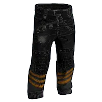 Skin's image