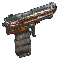 Skin's image