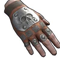 Skin's image