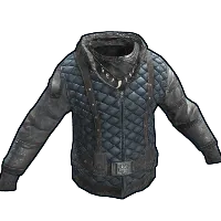 Skin's image