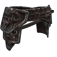 Skin's image