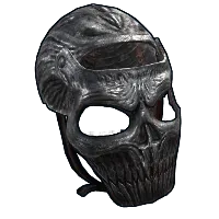 Skin's image