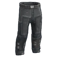 Skin's image