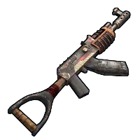 Skin's image