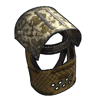 Skin's image
