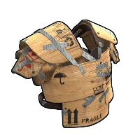 Skin's image