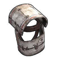 Skin's image