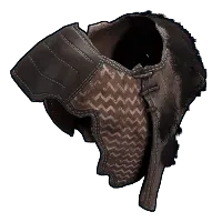 Skin's image