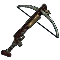 Skin's image