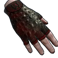 Skin's image