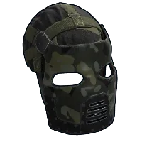 Skin's image