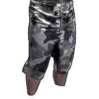 Skin's image