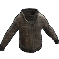 Skin's image